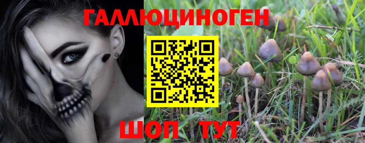 Псилоцибиновые грибы Magic Shrooms  Вход с VPN  Джанкой 
